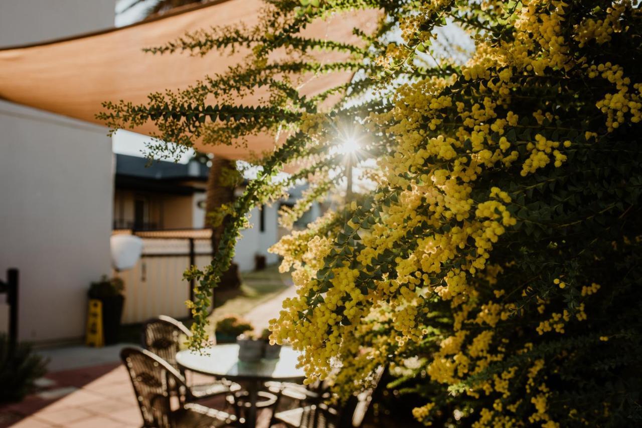 Inverell Terrace Motor Lodge Esterno foto